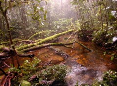 Fonds d'cran Nature Fort primaire