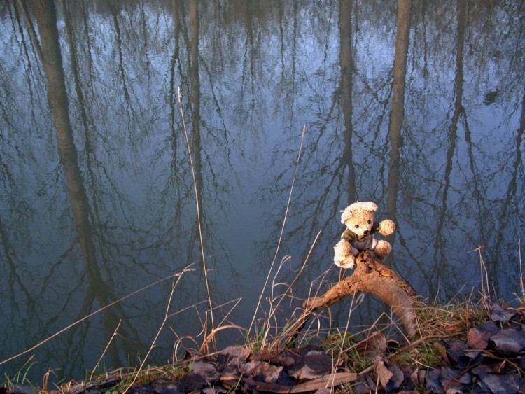 Fonds d'cran Objets Peluches Petit Ours se rchauffe au soleil...