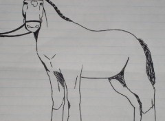 Fonds d'cran Art - Crayon Cheval lourd ou de trait