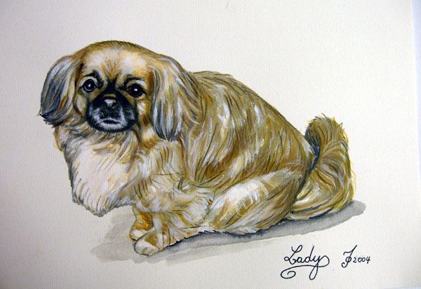 Fonds d'cran Art - Peinture Animaux Pekinois