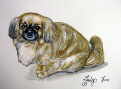 Fonds d'cran Art - Peinture Pekinois