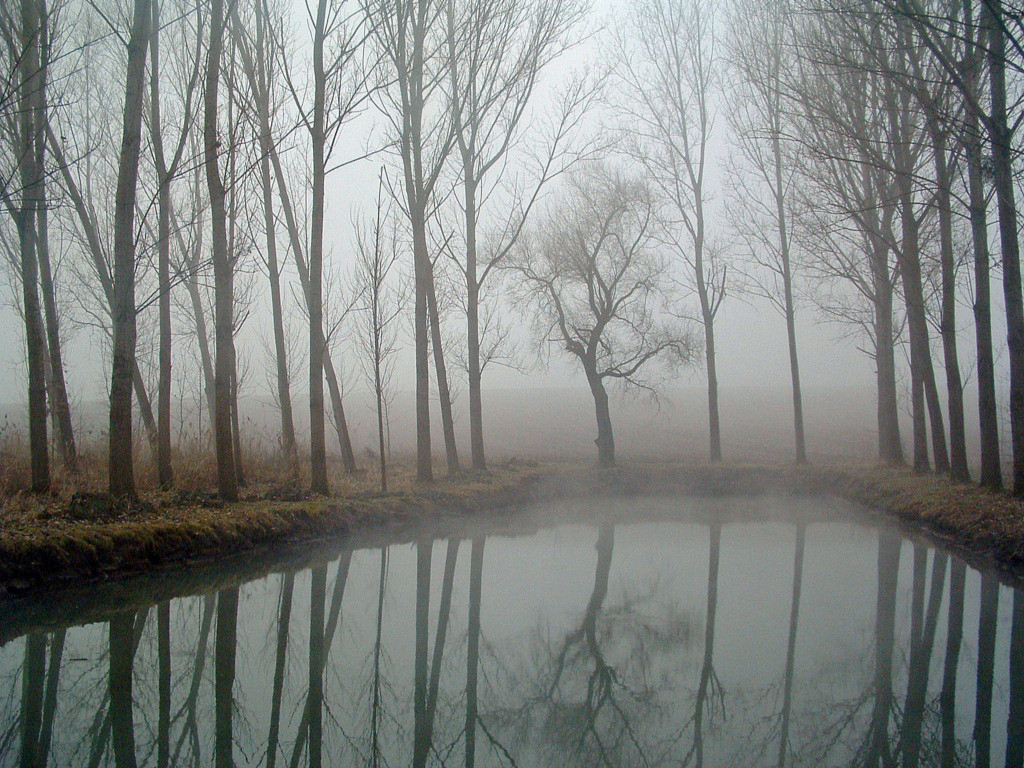 Fonds d'cran Nature Saisons - Hiver Lente descente du brouillard...