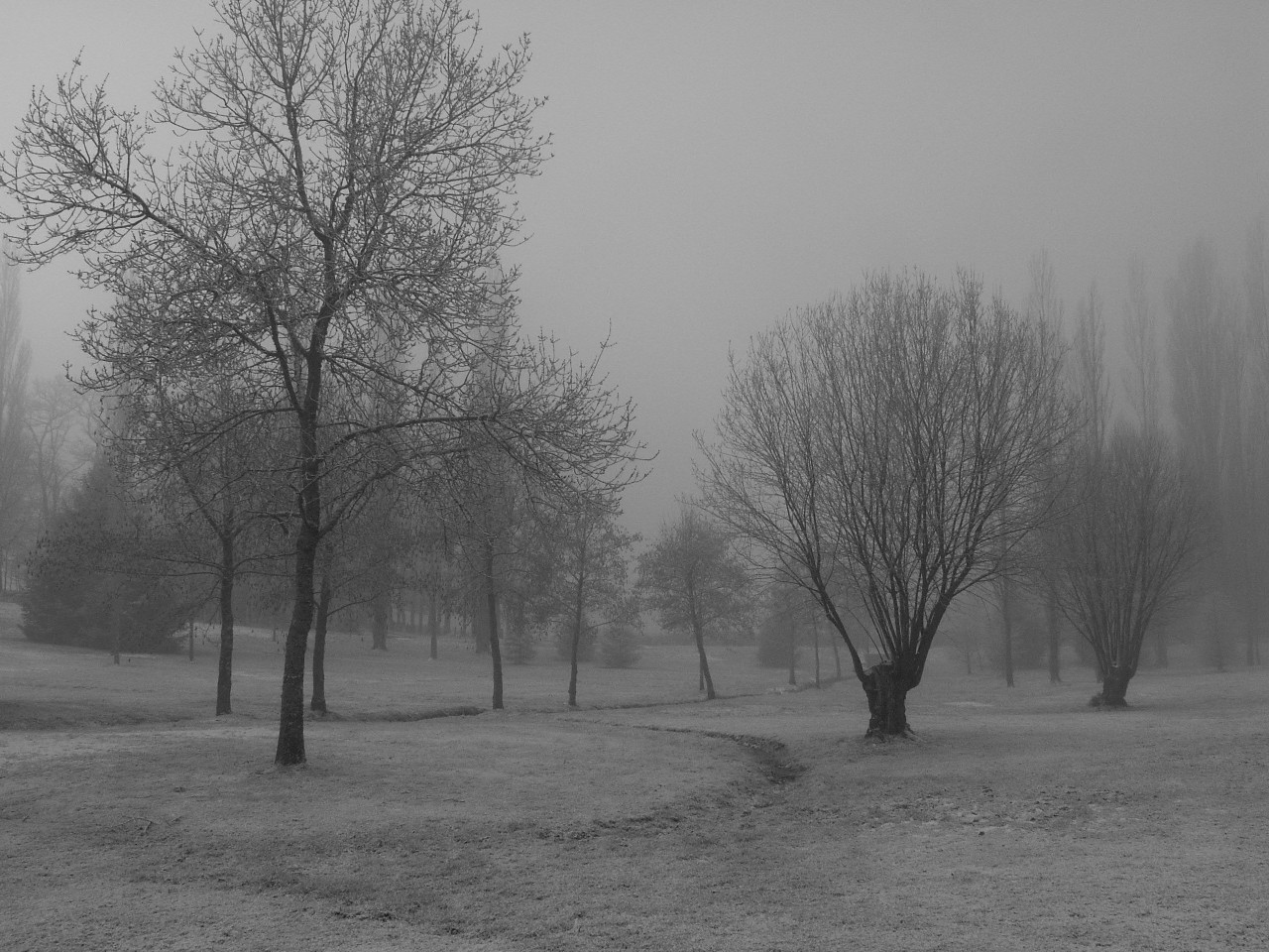 Fonds d'cran Nature Saisons - Hiver 