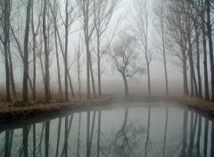 Fonds d'cran Nature Lente descente du brouillard...