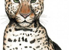 Fonds d'cran Art - Crayon Leopard