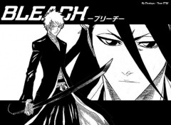 Fonds d'cran Manga Ichigo