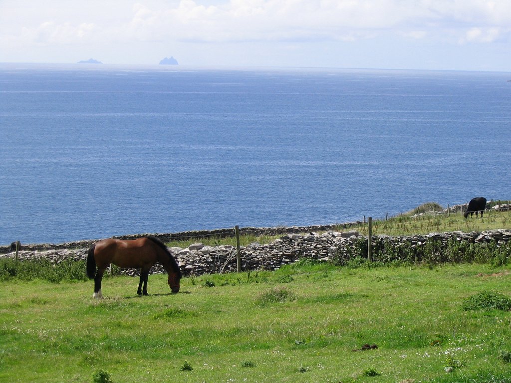 Wallpapers Animals Horses Pninsule de Dingle