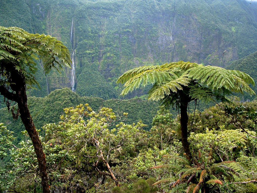 Fonds d'cran Voyages : Afrique La Runion Ile de la Reunion