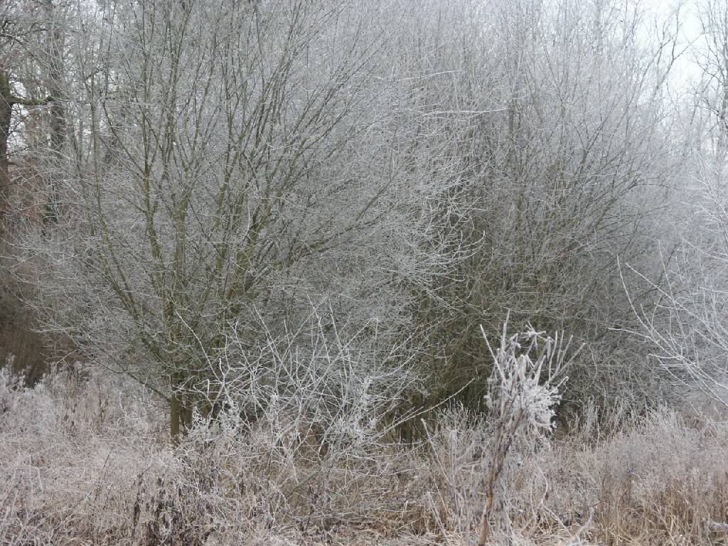 Fonds d'cran Nature Saisons - Hiver 