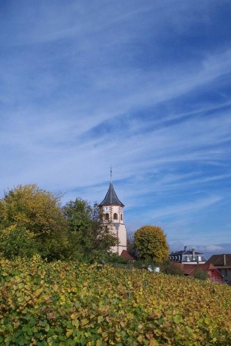 Wallpapers Trips : Europ France > Alsace Clocher de Zellenberg