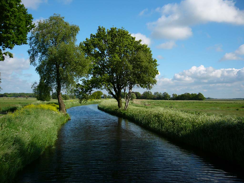 Fonds d'cran Nature Fleuves - Rivires - Torrents 