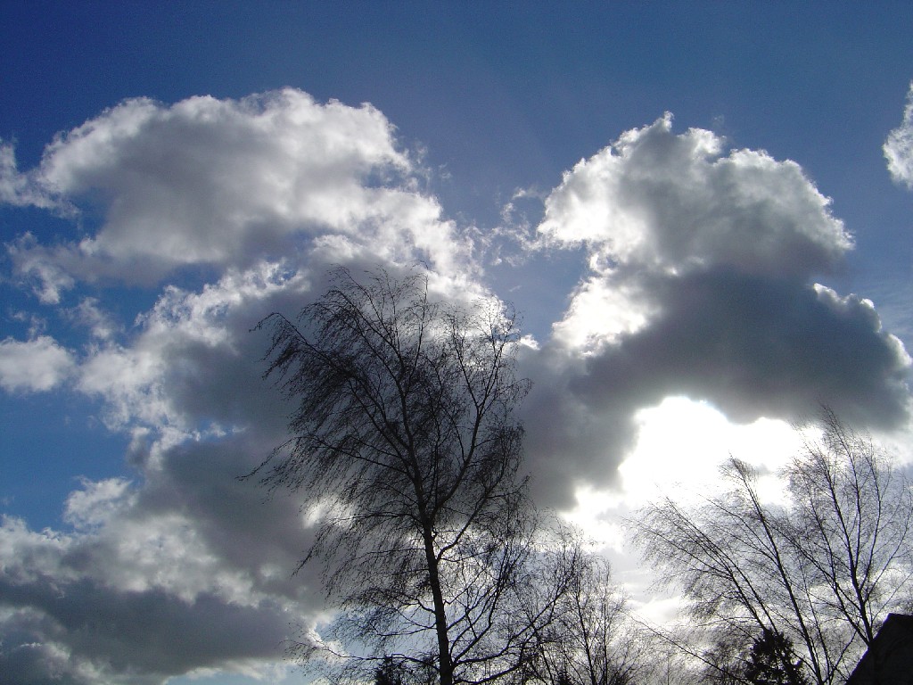 Wallpapers Nature Skies - Clouds 