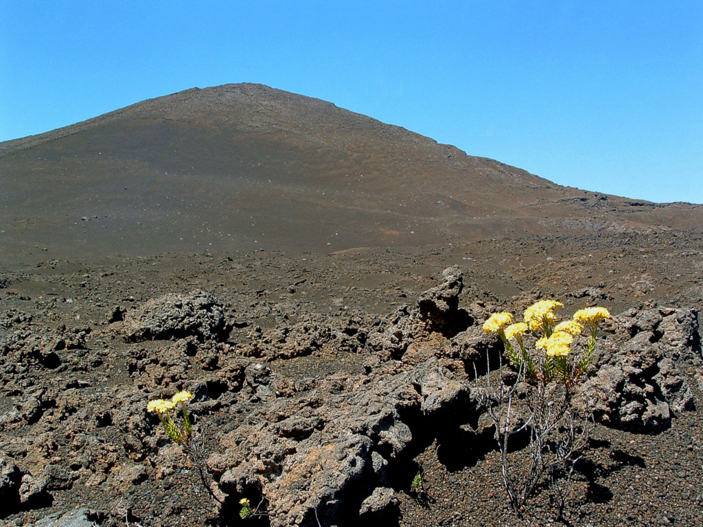 Fonds d'cran Voyages : Afrique La Runion Ile de la Reunion