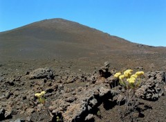 Fonds d'cran Voyages : Afrique Ile de la Reunion