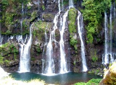 Fonds d'cran Nature Langevin