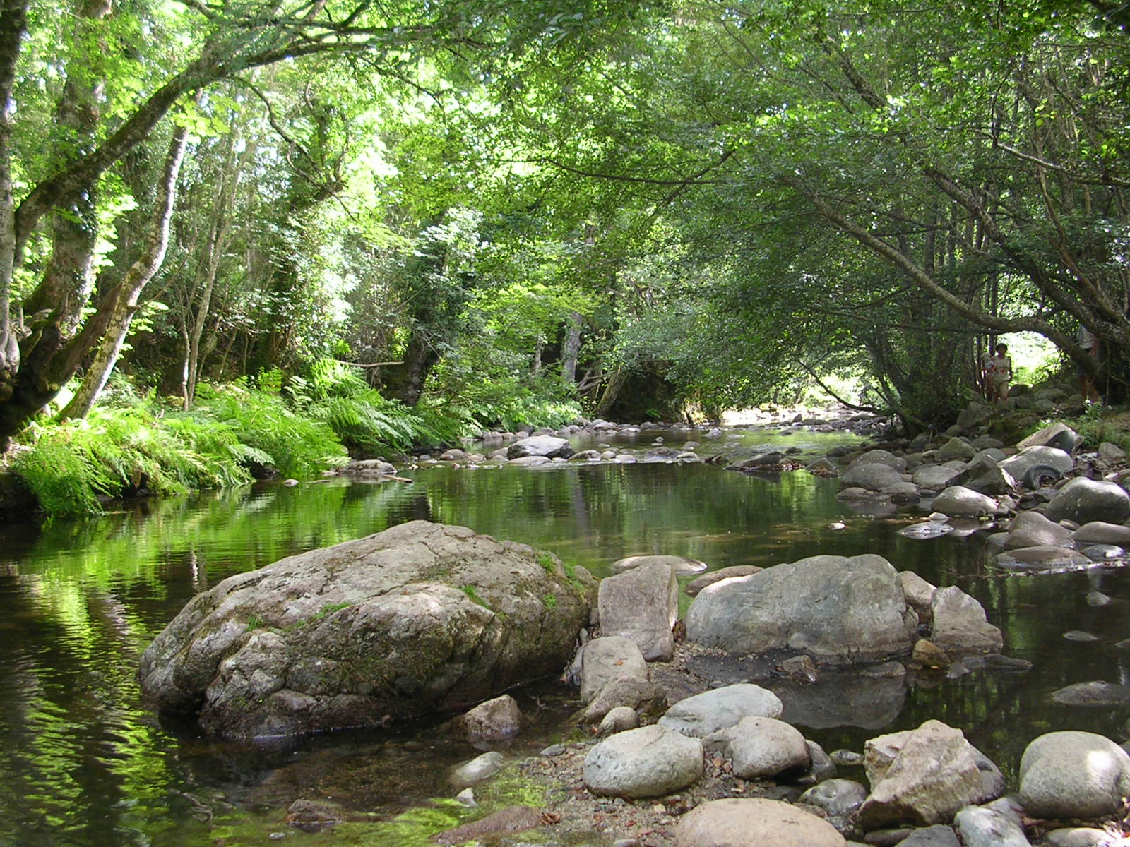 Wallpapers Trips : Europ France > Corsica La Restonica