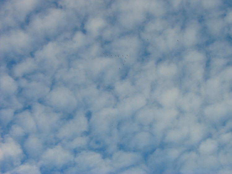 Fonds d'cran Nature Ciel - Nuages Cieux italien