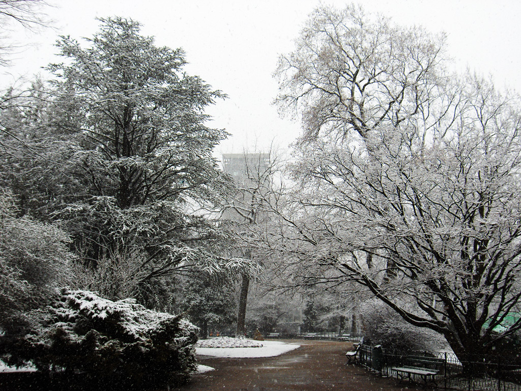 Fonds d'cran Voyages : Europe France (non prcis) jardin des plantes  grenoble