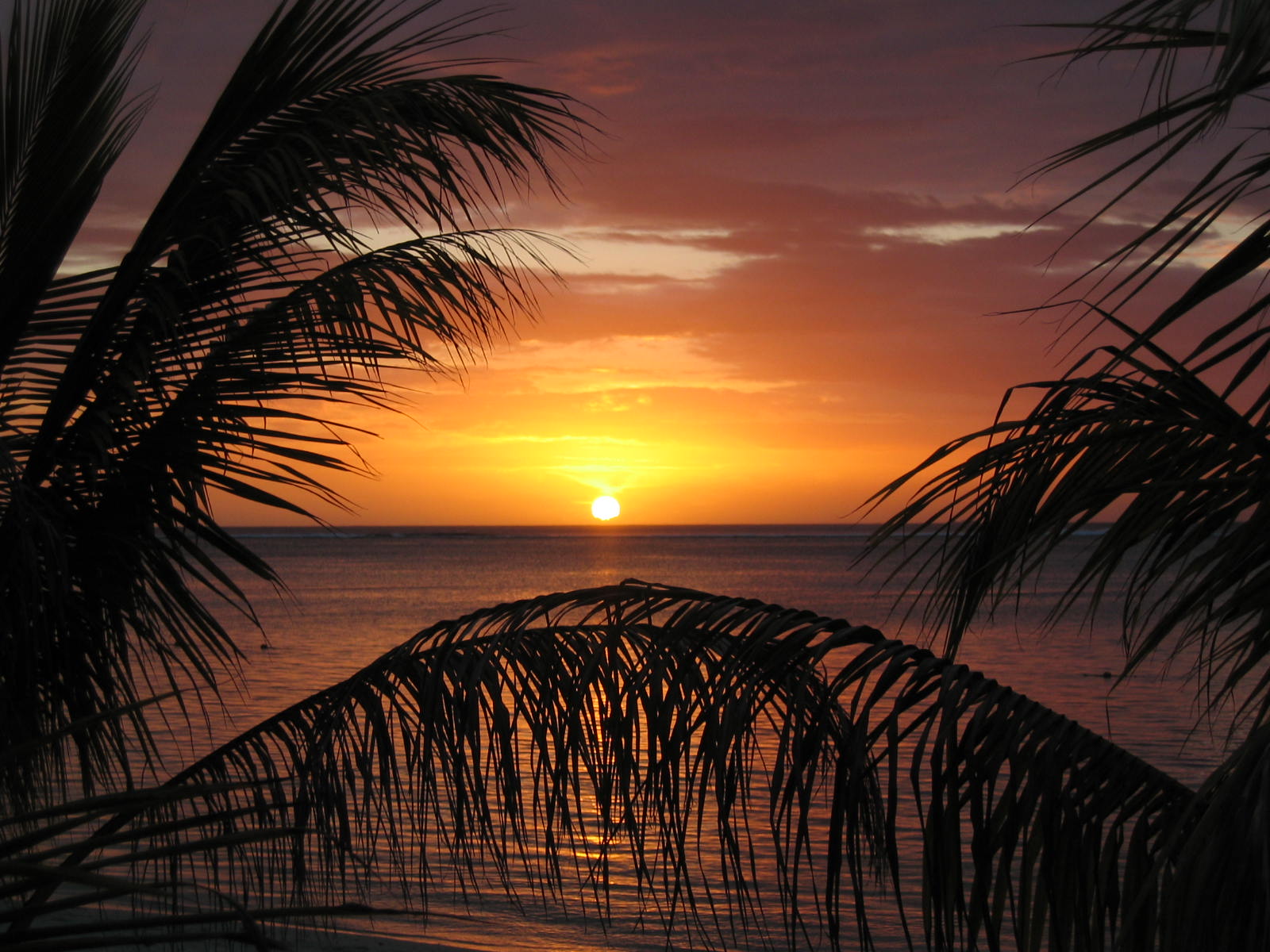 Fonds d'cran Voyages : Afrique Ile Maurice Couch de soleil  Maurice 2