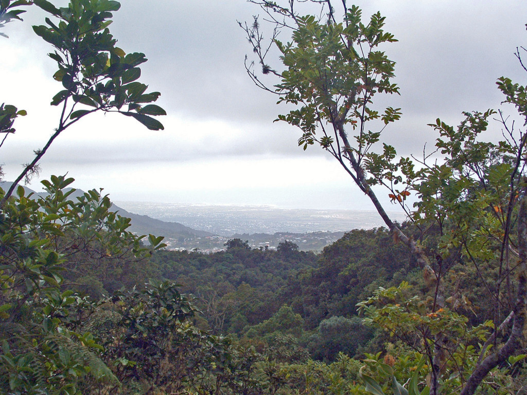 Fonds d'cran Voyages : Afrique La Runion Ile de la Reunion