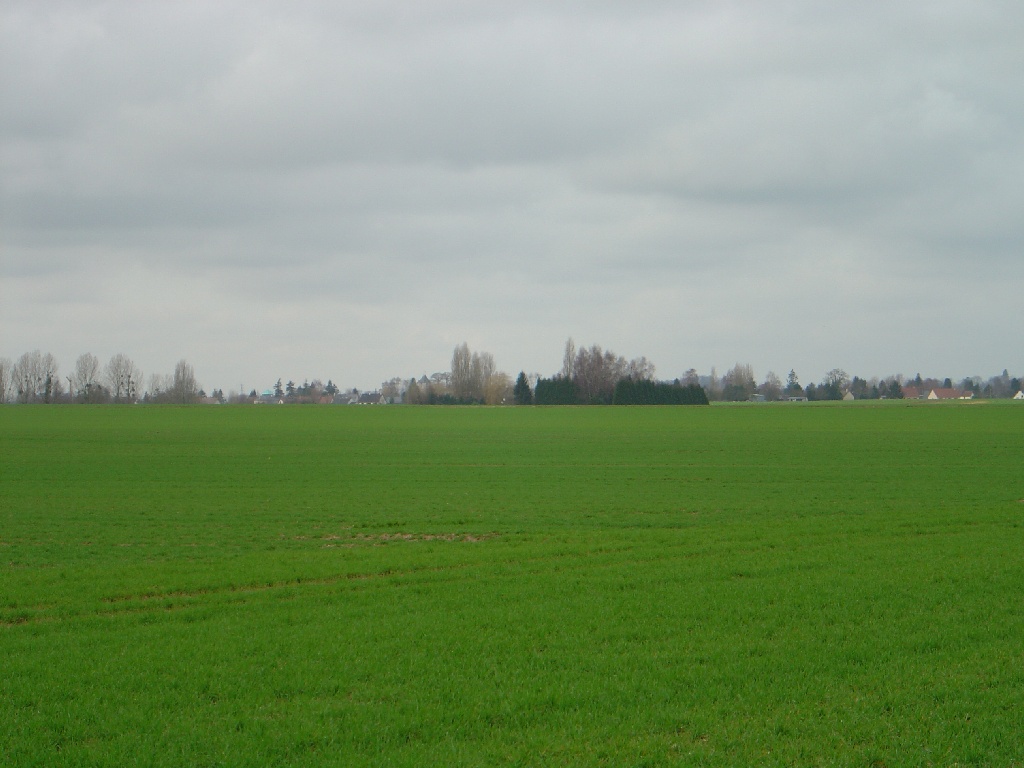 Fonds d'cran Nature Champs - Prairies 