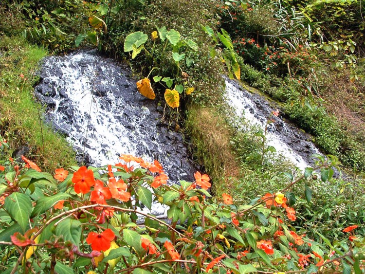 Fonds d'cran Nature Eau Ile de la Reunion