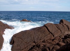 Fonds d'cran Nature Plonge dans la mer