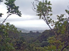 Fonds d'cran Voyages : Afrique Ile de la Reunion