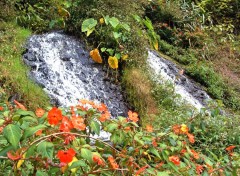 Fonds d'cran Nature Ile de la Reunion