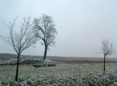 Fonds d'cran Voyages : Europe Une petite pause givre ?