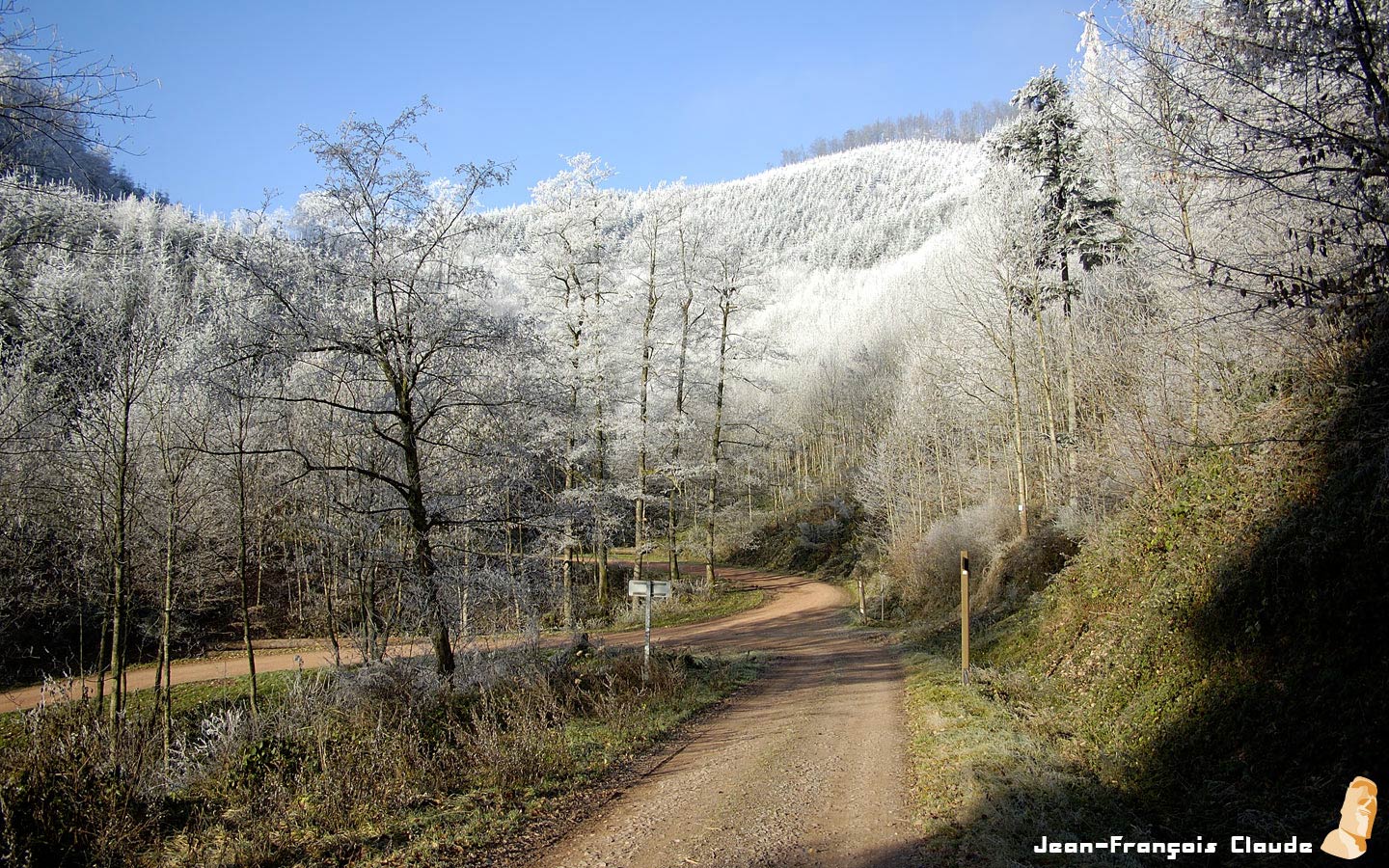 Fonds d'cran Nature Arbres - Forts Givre