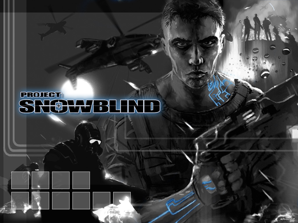 Wallpapers Video Games Project Snowblind Project Snowblind