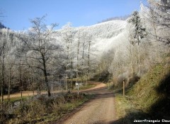 Wallpapers Nature Givre