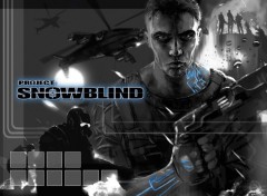 Fonds d'cran Jeux Vido Project Snowblind