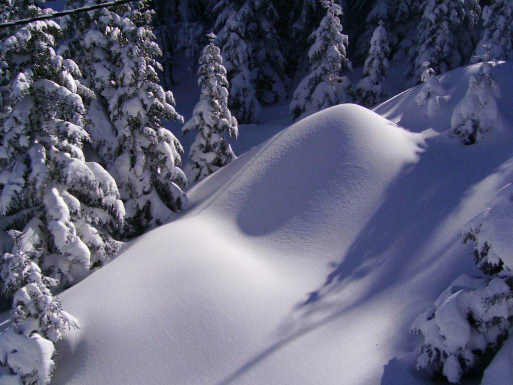 Fonds d'cran Nature Saisons - Hiver Neige trs fraiche