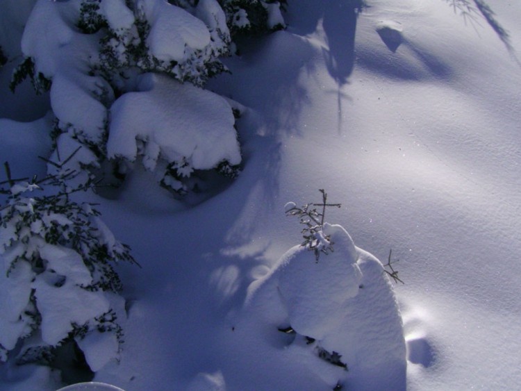 Wallpapers Nature Mountains Neige Fraiche