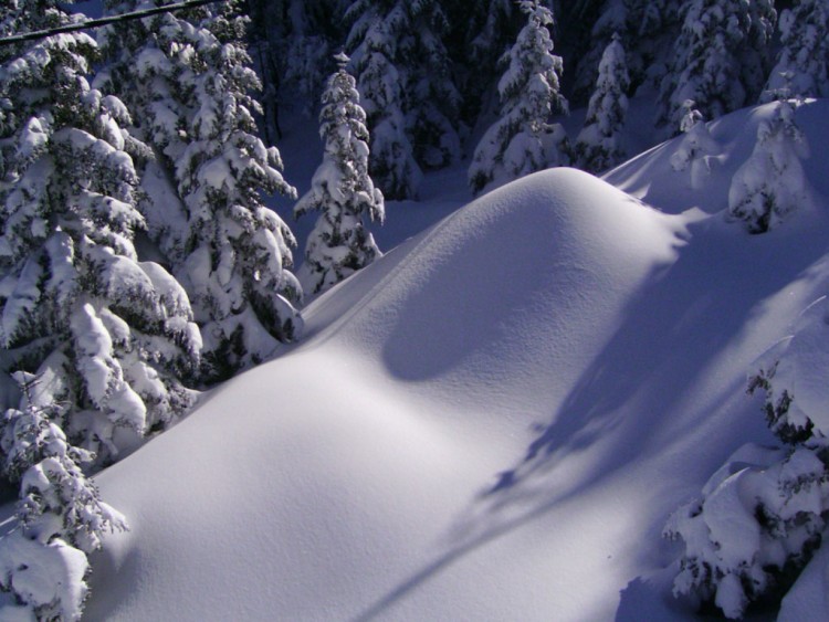 Fonds d'cran Nature Saisons - Hiver Neige trs fraiche