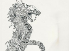 Wallpapers Art - Pencil dragon squelettique