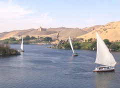 Fonds d'cran Voyages : Afrique Felouques sur le Nil  Assouan.