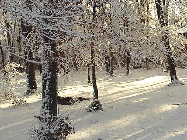 Wallpapers Nature Saisons - Winter paysage sous la neige