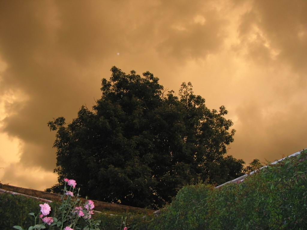 Wallpapers Nature Skies - Clouds Soir d'orage  Guada :o)