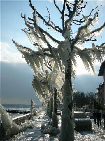 Wallpapers Nature Saisons - Winter Givre a Nyon