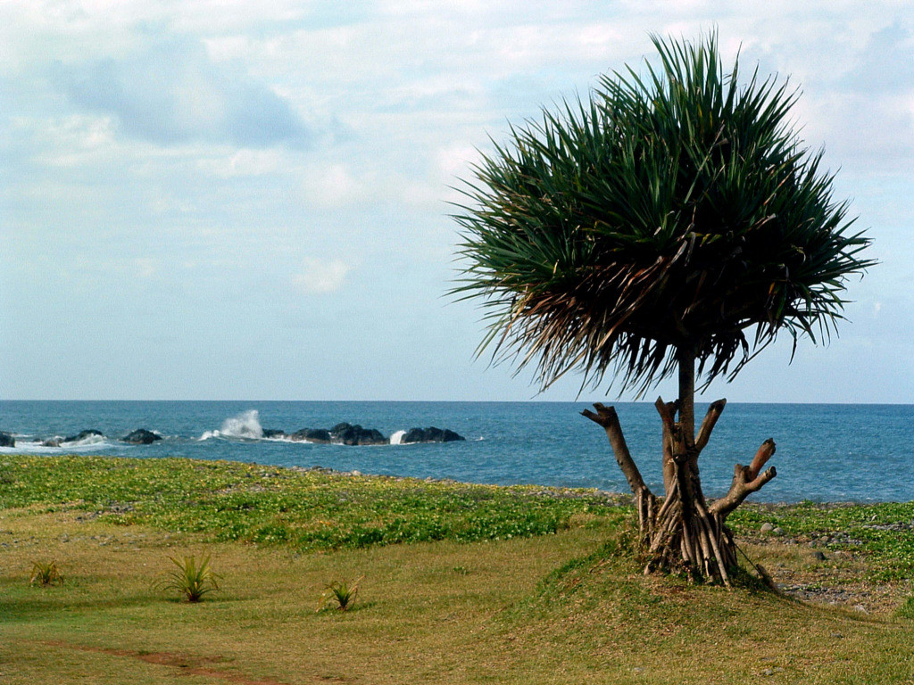 Fonds d'cran Voyages : Afrique La Runion Ile de la Reunion