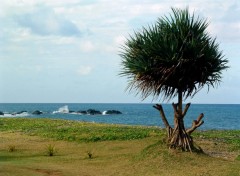 Fonds d'cran Voyages : Afrique Ile de la Reunion