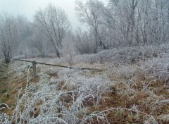 Wallpapers Nature Chemin barr, givre...