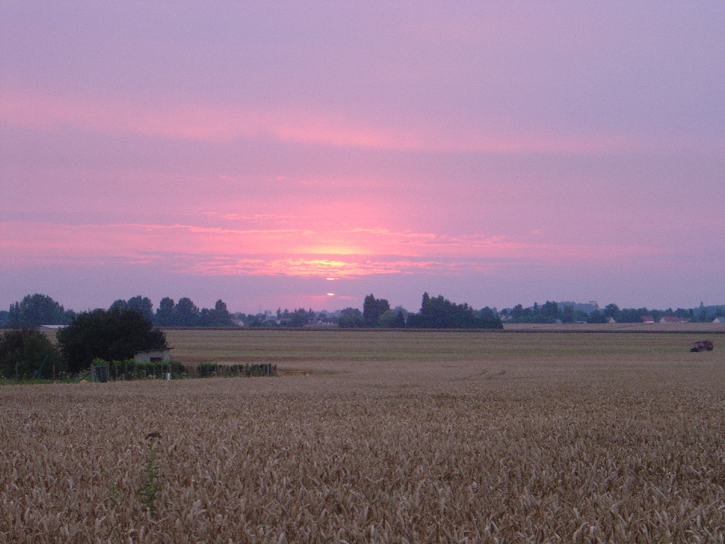 Fonds d'cran Nature Couchers et levers de Soleil 