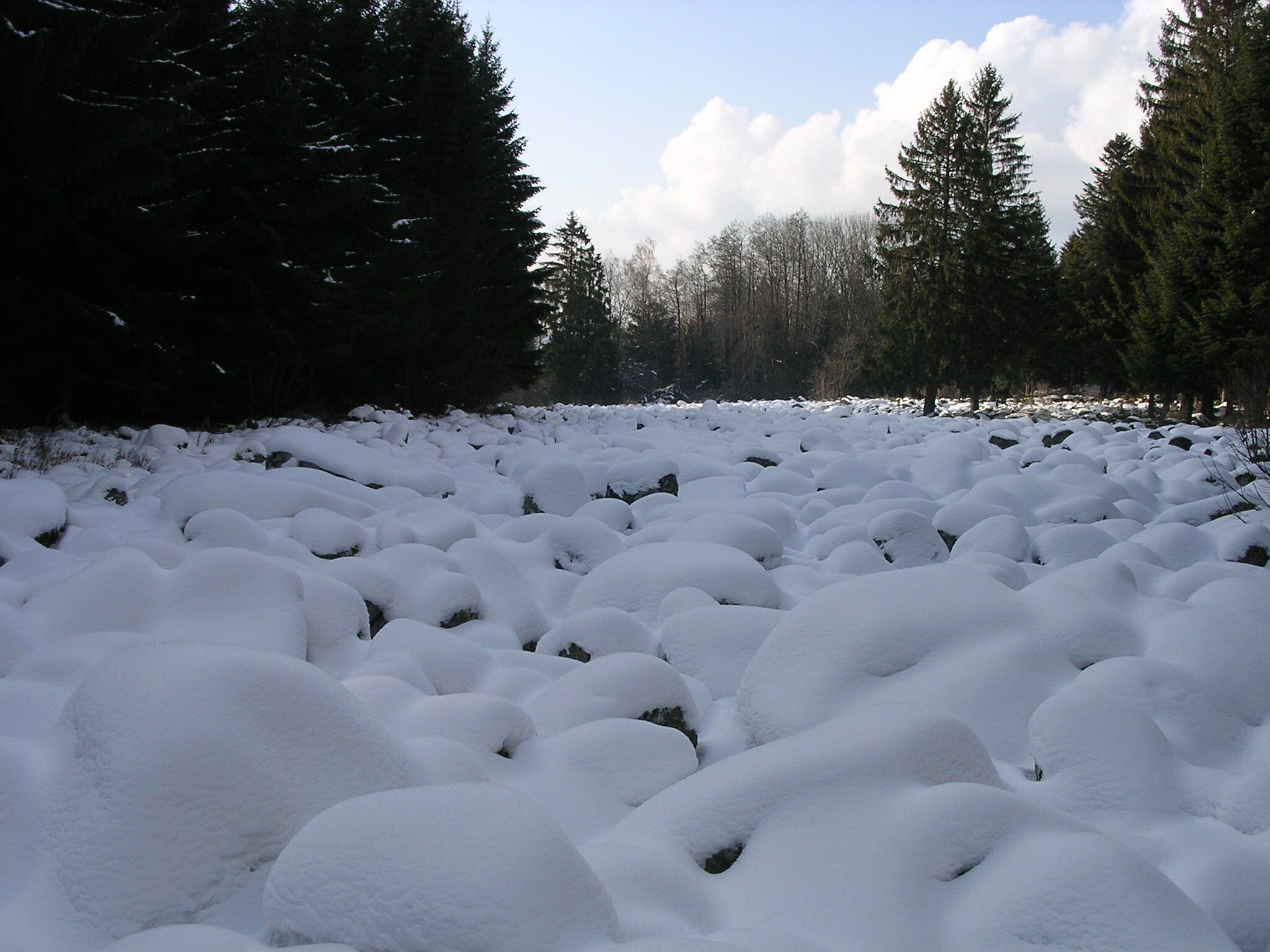 Fonds d'cran Nature Saisons - Hiver le champ des roches