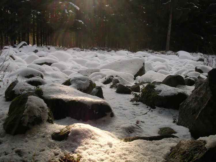 Fonds d'cran Nature Saisons - Hiver champ des roches