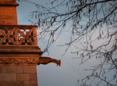 Wallpapers Constructions and architecture Cathdrale de Limoges 2