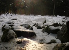 Fonds d'cran Nature champ des roches